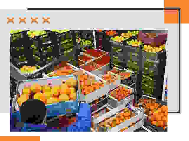 Перевозка скоропортящихся продуктов в Великом Новгороде